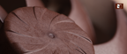 Noctua NH-D15 G2 chromax.black - panoramica A+