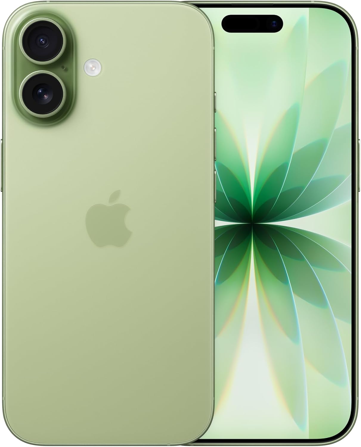 Apple iPhone 17 salvia, vista frontale e posteriore