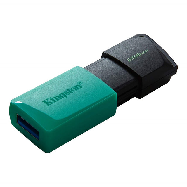 Kingston Exodia M 256 GB