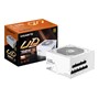 Gigabyte UD750GM PG5 V2 ICE, alimentatore 750W 80 PLUS Gold - immagine 2